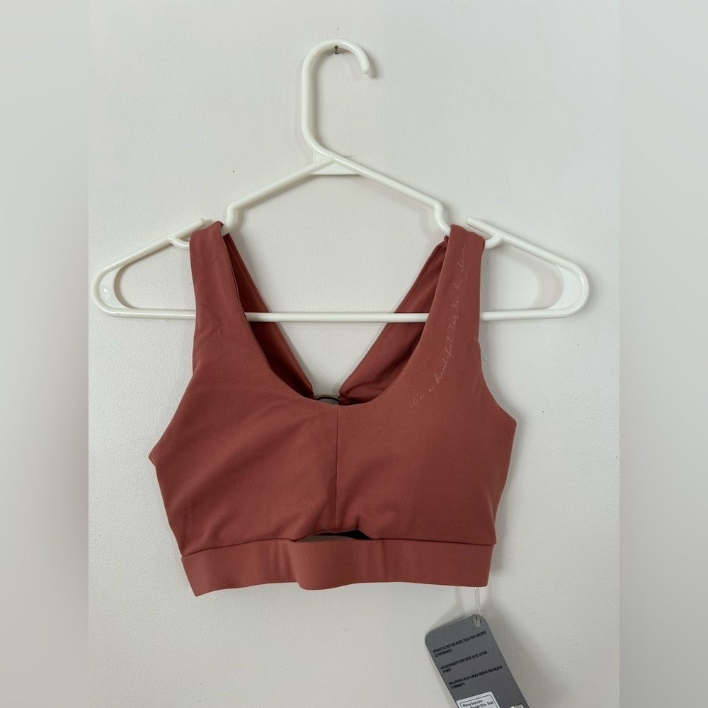 NWT Whitney Simmons x Gymshark Bra Moab Mountain Small